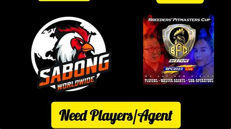swc6 sabong|Open for Player and Agent .